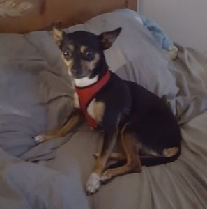 Meet your Posher, Matthew